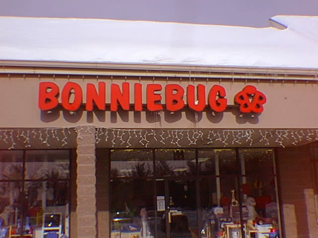 the store